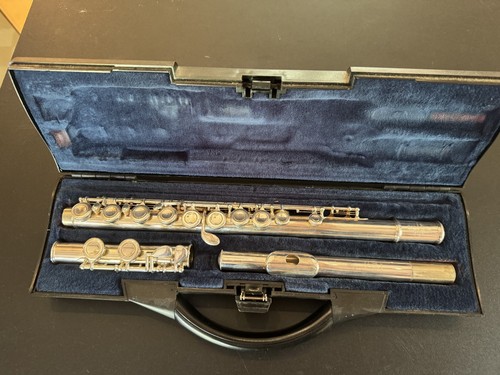 Flute musical instrument - musical,