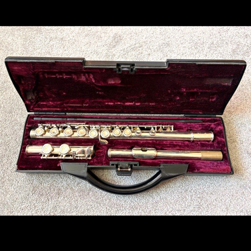 Buffet crampon concert flute - buffet,