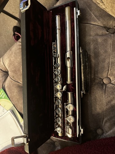 Buffet crampon concert flute - crampon,